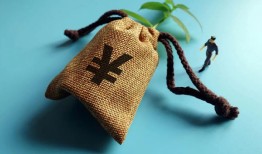如何确定不同平台贷款的正确还款方式